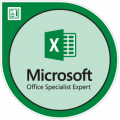 Microsoft Certified Excel Expert